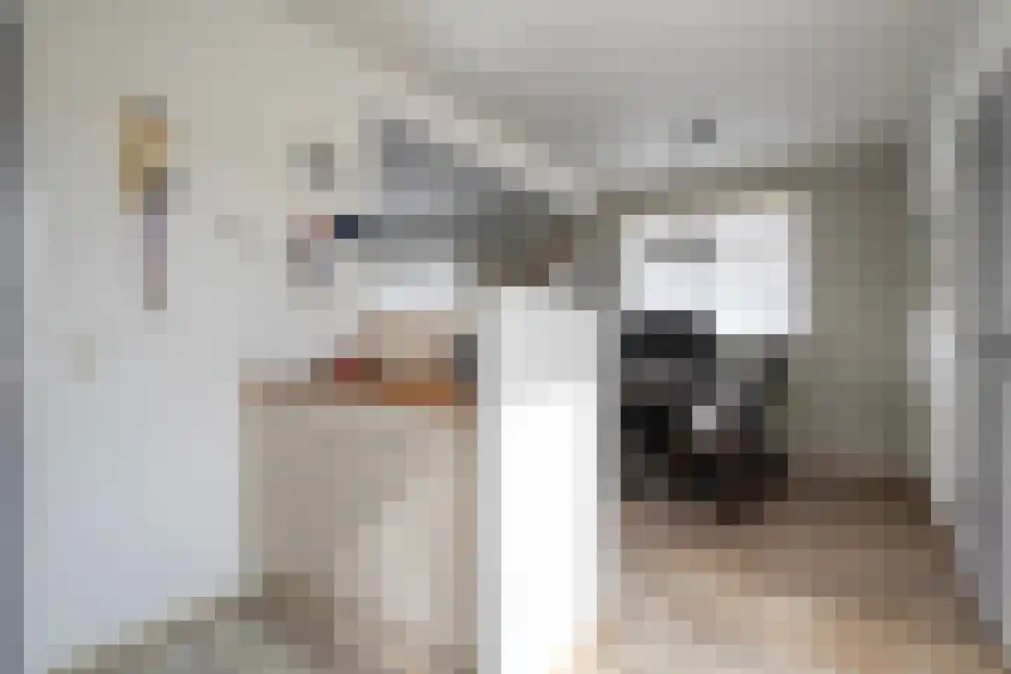 M. Azn. de Ruyterstraat 3 Hardenberg thumbnail 20