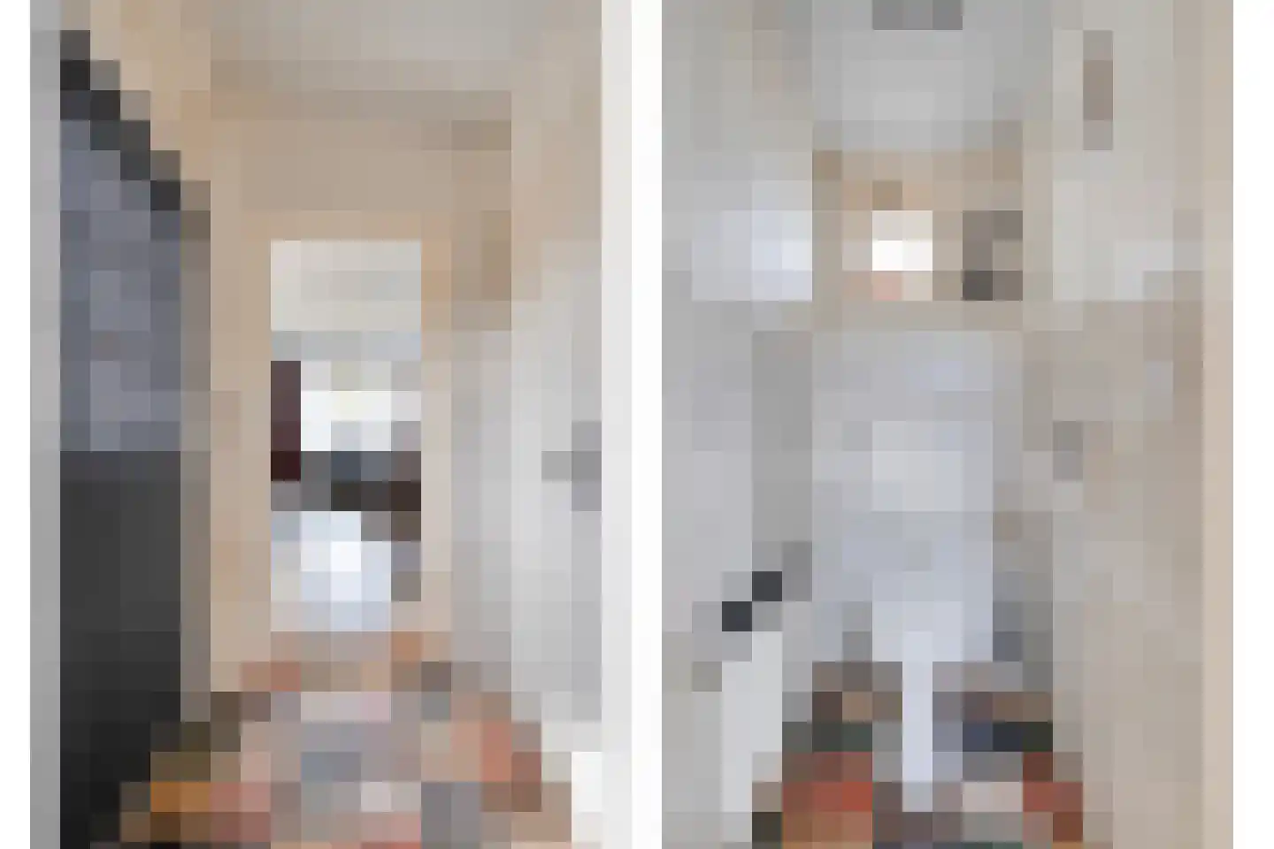 M. Azn. de Ruyterstraat 3 Hardenberg thumbnail 22