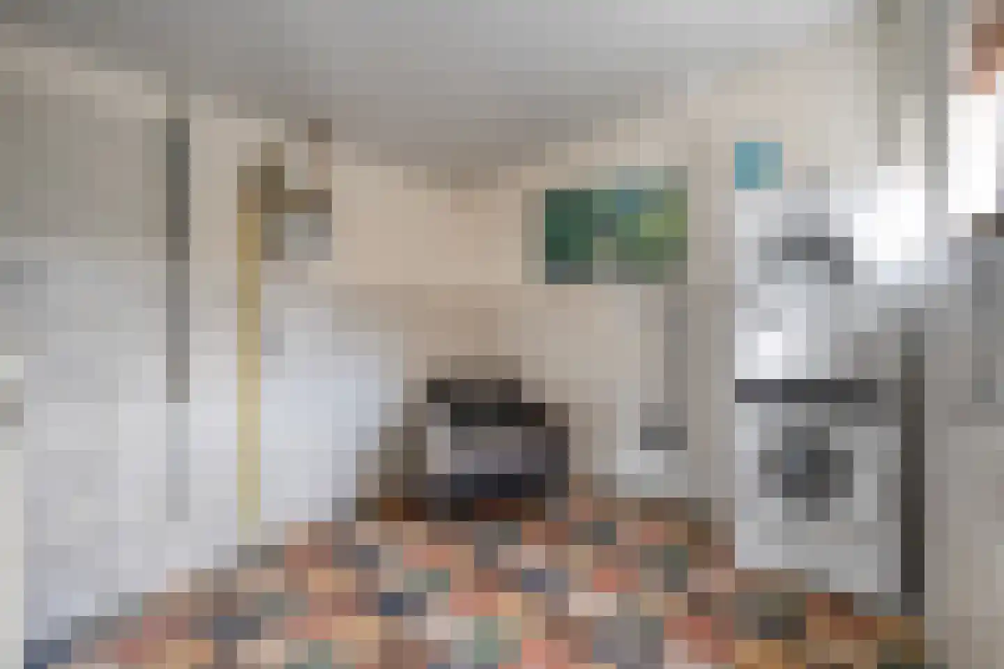 M. Azn. de Ruyterstraat 3 Hardenberg thumbnail 23