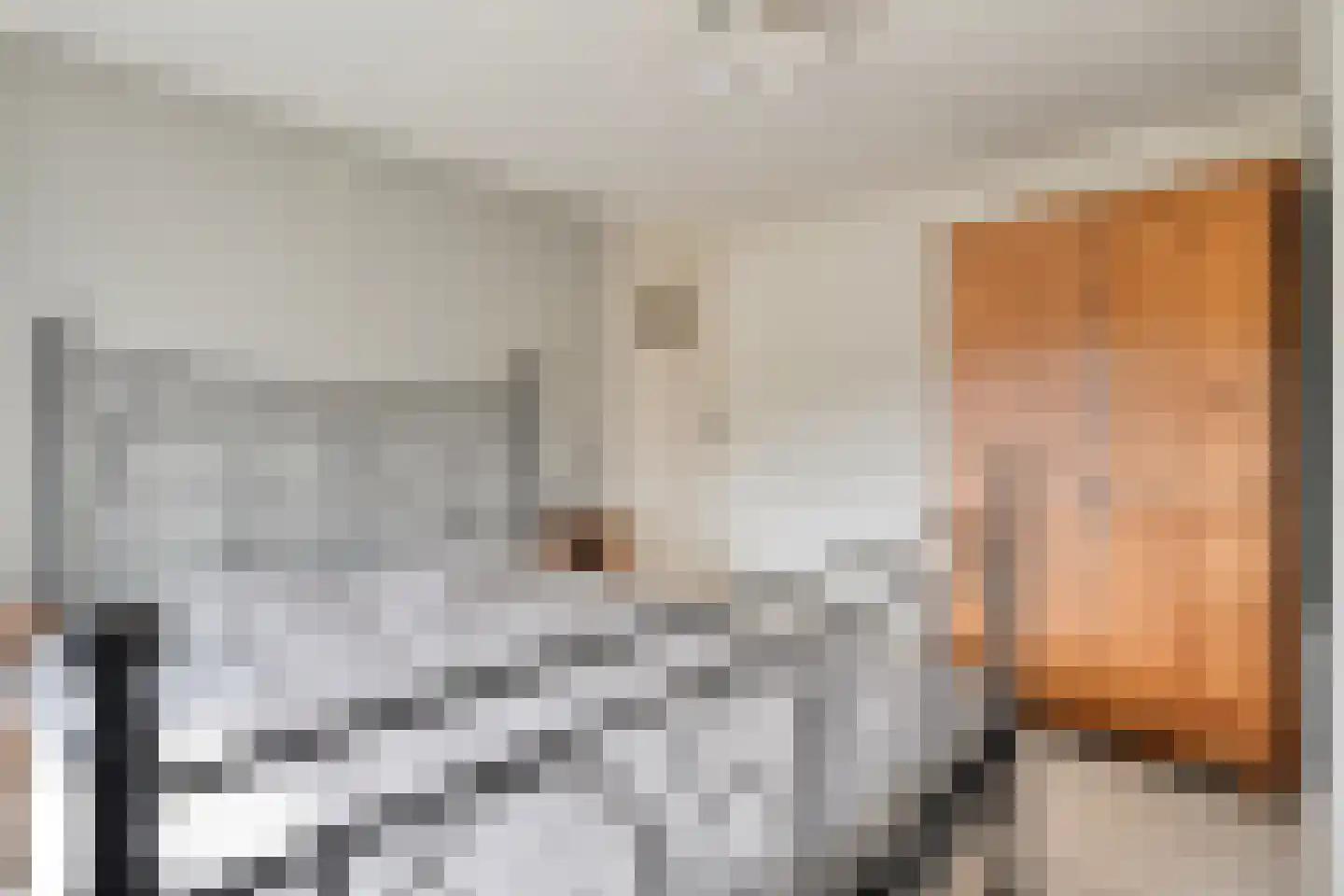 M. Azn. de Ruyterstraat 3 Hardenberg thumbnail 25