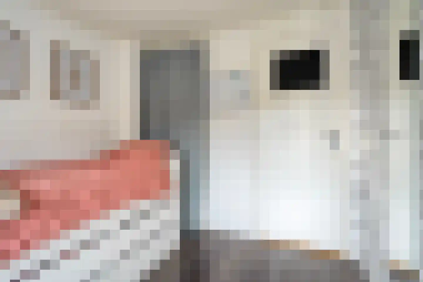 M. Azn. de Ruyterstraat 3 Hardenberg thumbnail 26
