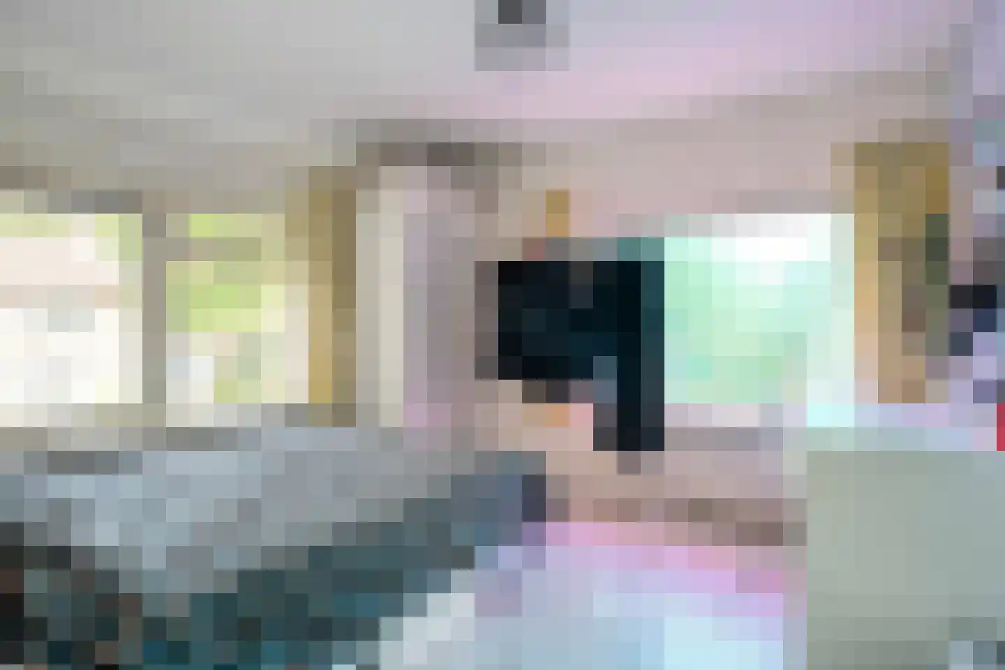 M. Azn. de Ruyterstraat 3 Hardenberg thumbnail 27