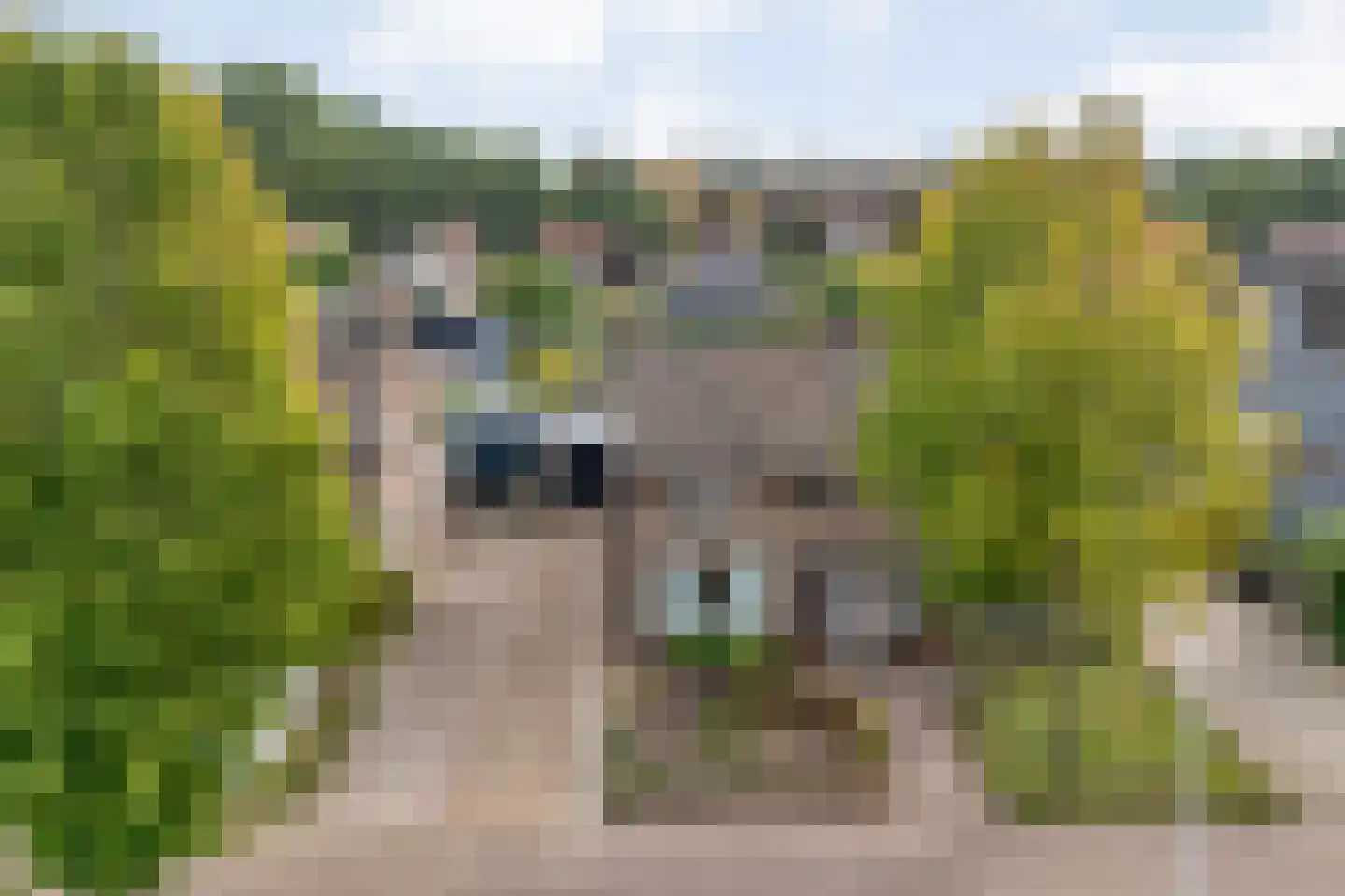 M. Azn. de Ruyterstraat 3 Hardenberg thumbnail 5