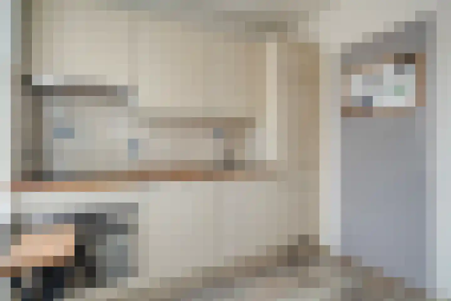 M. Azn. de Ruyterstraat 3 Hardenberg thumbnail 8