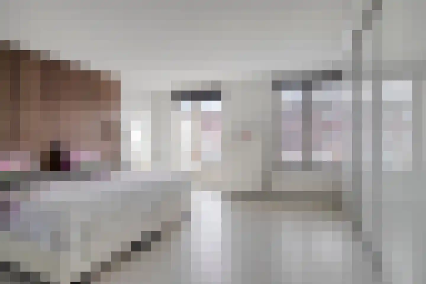 M. Beenstraat 11 Spijkenisse thumbnail 18