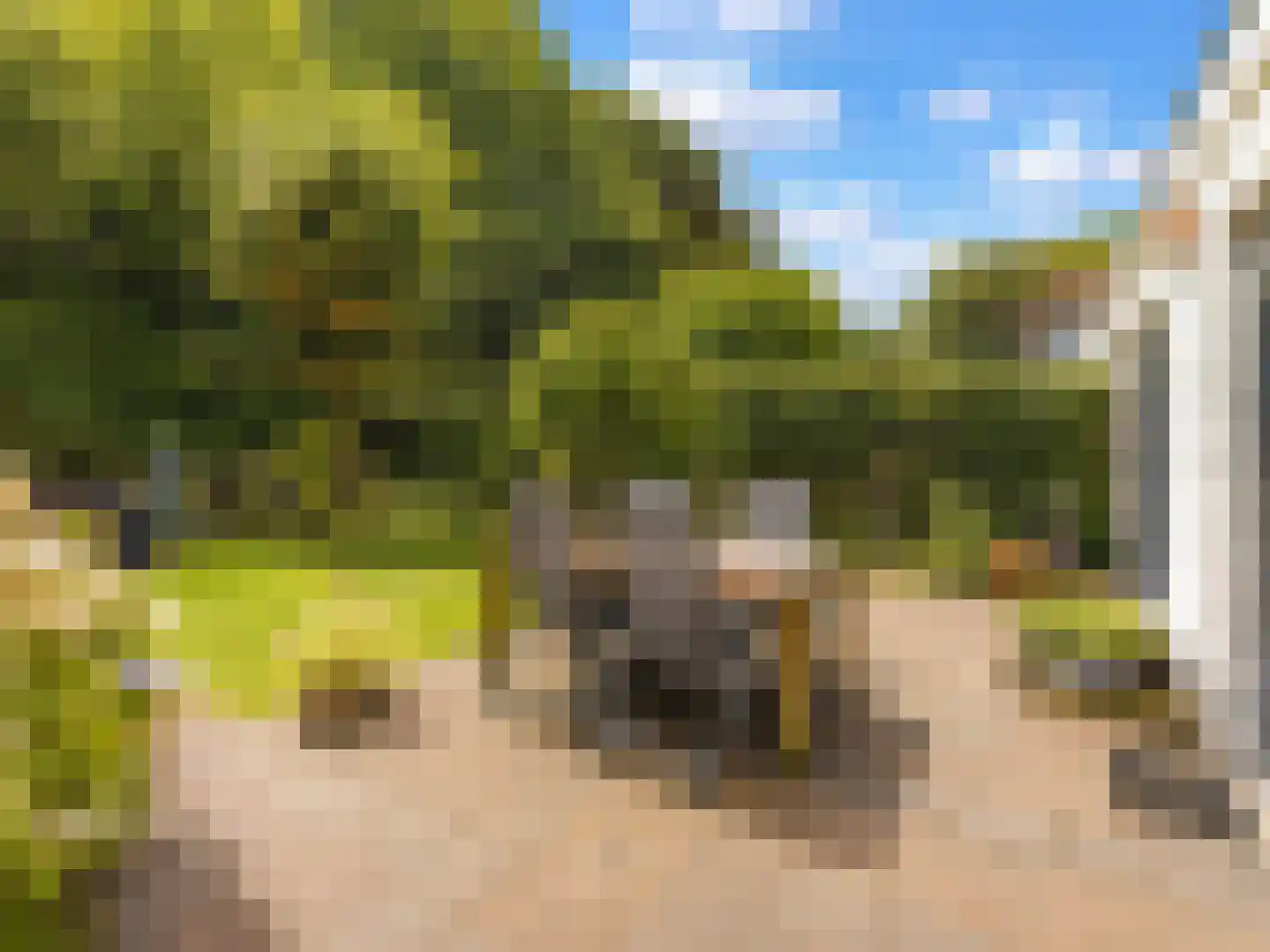 M.C. Escherlaan 5 Baarn thumbnail 19