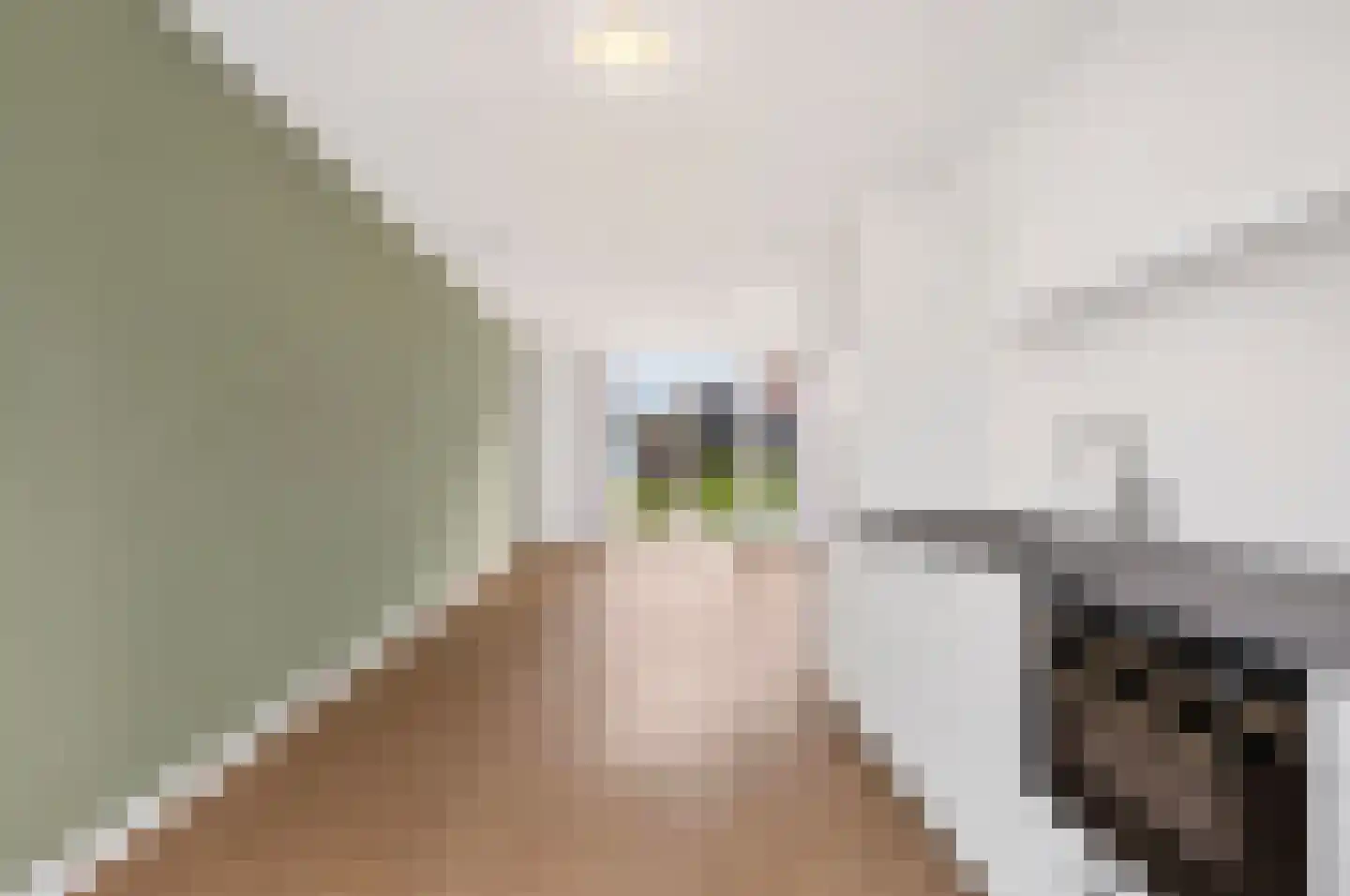 M.C. Escherstraat 34 Hengelo thumbnail 7