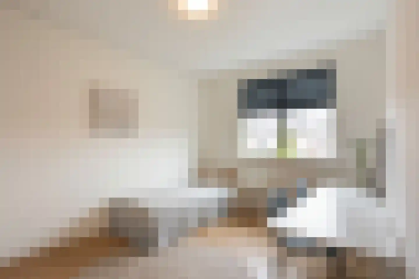 M.C. Escherstraat 40 Hengelo thumbnail 23