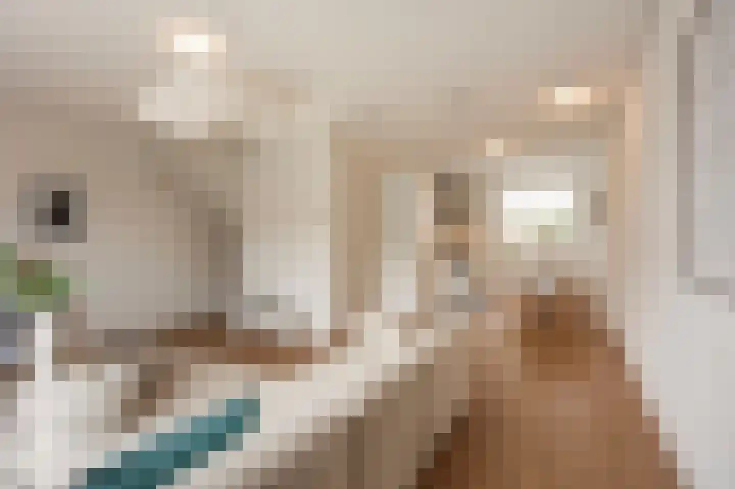 M.C. Escherstraat 40 Hengelo thumbnail 8