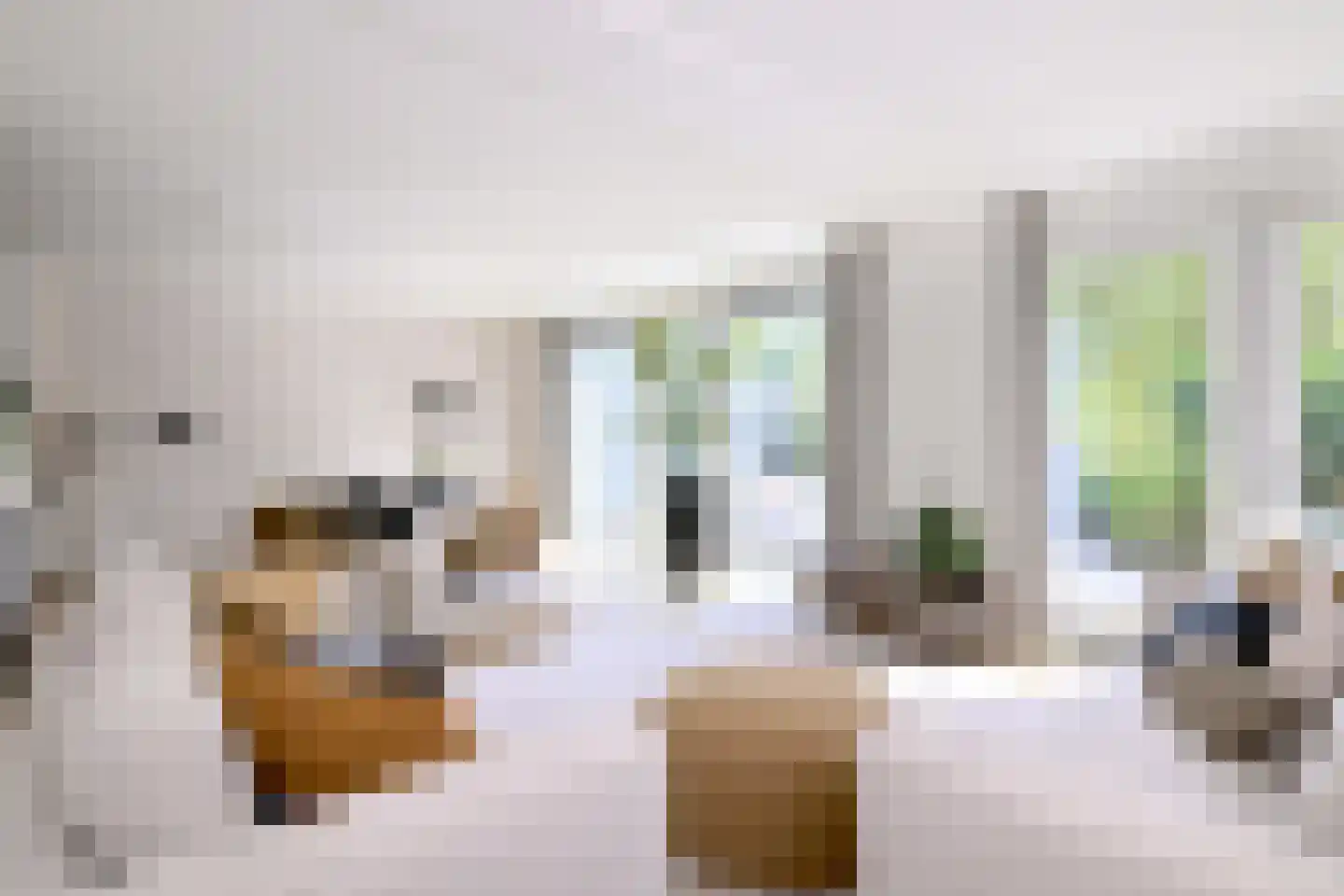 M.C. Escherweg 57 Deventer thumbnail 4
