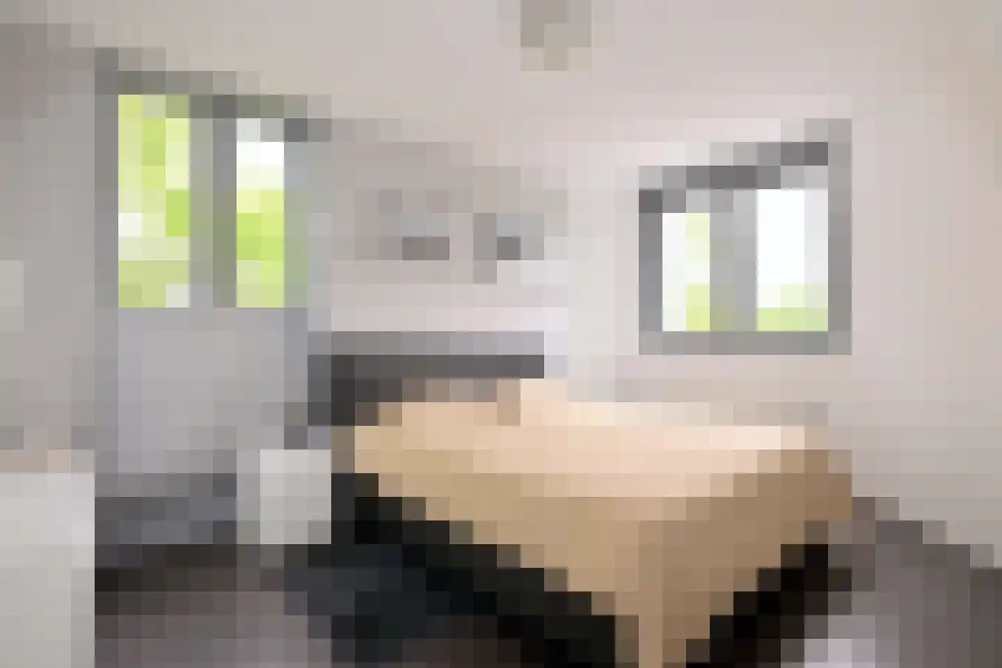 M.C. Escherweg 61 Deventer thumbnail 22