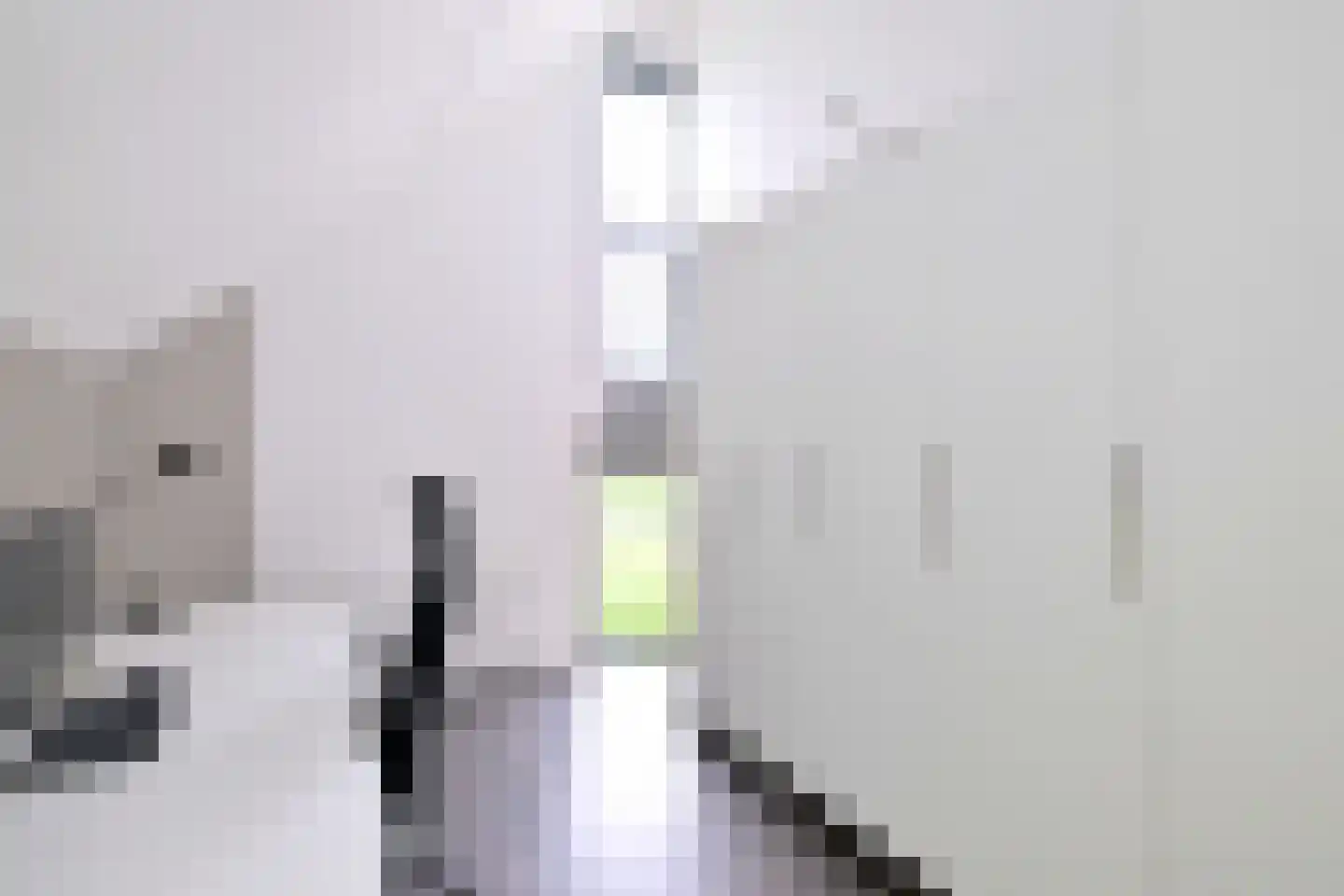 M.C. Escherweg 61 Deventer thumbnail 35