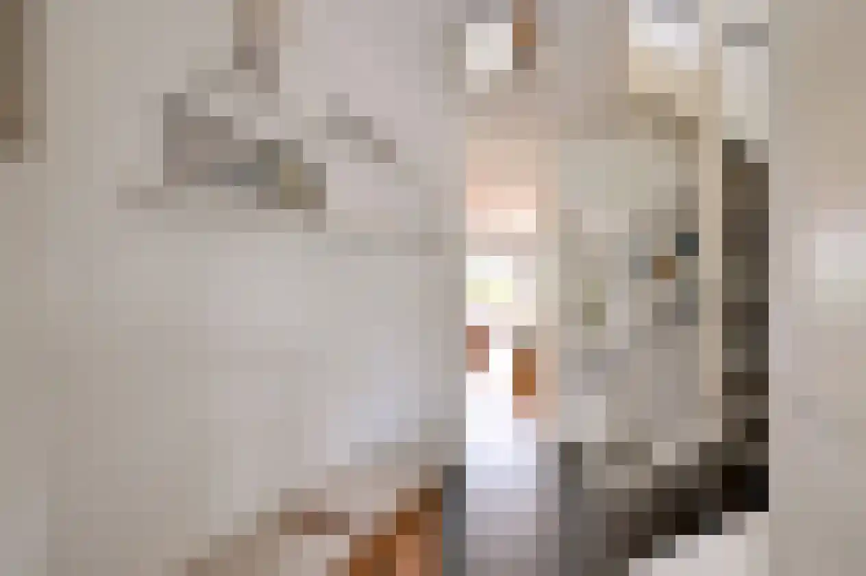 M.C. Escherweg 61 Deventer thumbnail 4