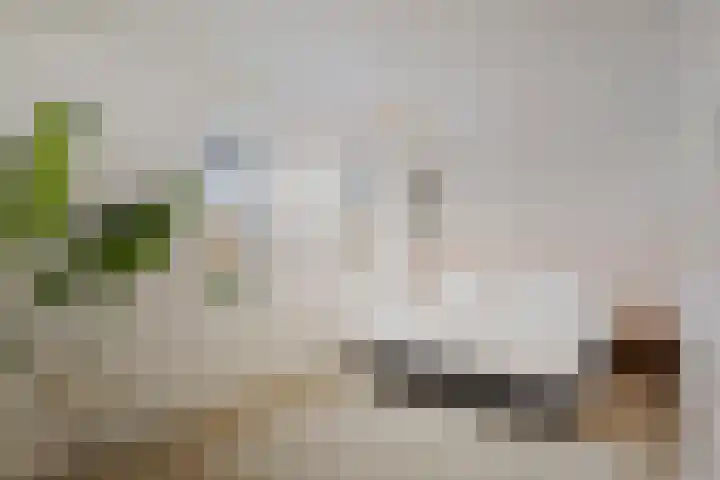 M.C. Escherweg 75 Deventer thumbnail 19