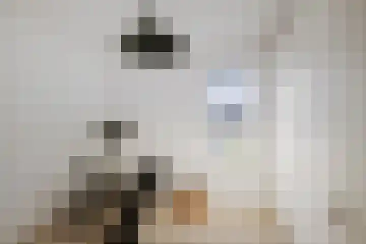 M.C. Escherweg 75 Deventer thumbnail 23