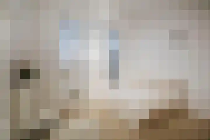 M.C. Escherweg 75 Deventer thumbnail 27