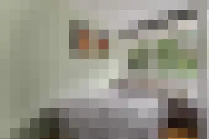 M.C.Verloopweg 52 II Leersum thumbnail 12