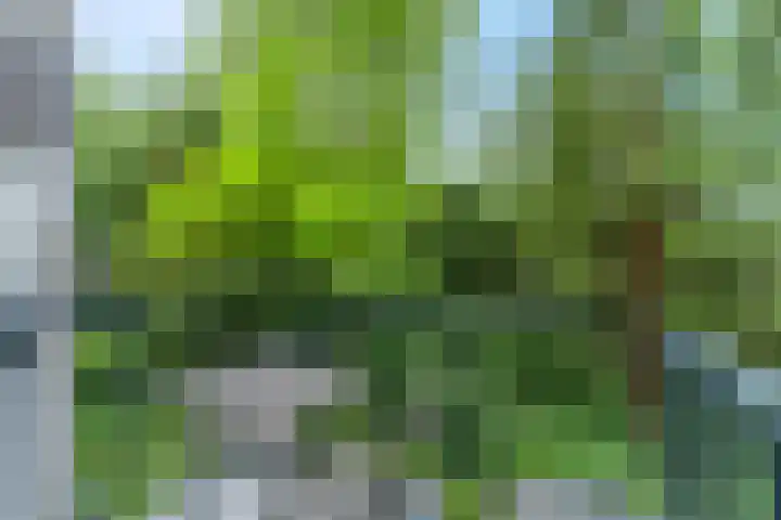 M.C.Verloopweg 52 II Leersum thumbnail 15