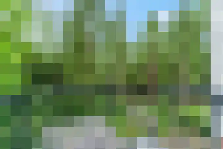 M.C.Verloopweg 52 II Leersum thumbnail 16
