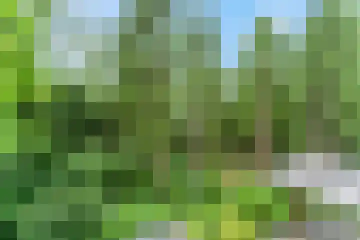 M.C.Verloopweg 52 II Leersum thumbnail 18