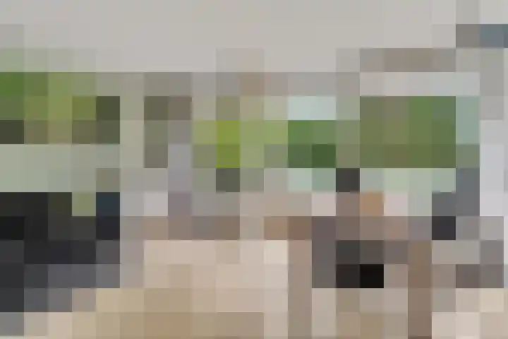 M.C.Verloopweg 52 II Leersum thumbnail 4