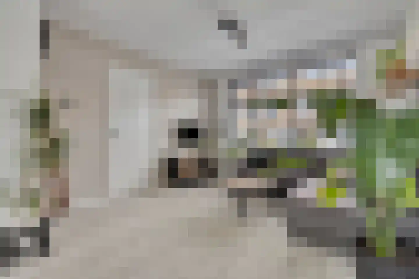 M.D.de Grootstraat 109 Goes thumbnail 7