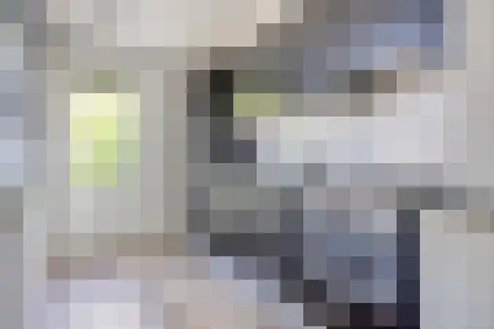 M.D.de Grootstraat 122 Goes thumbnail 14