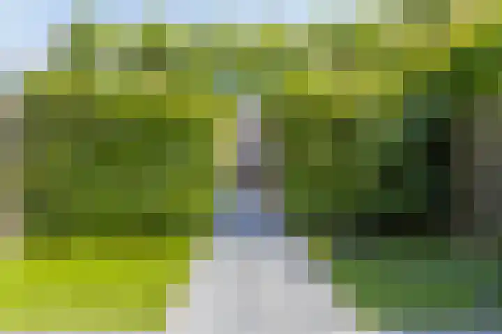 M.D.de Grootstraat 122 Goes thumbnail 33