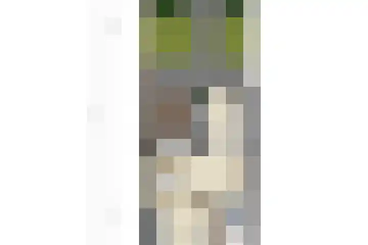 M.D.de Grootstraat 122 Goes thumbnail 42