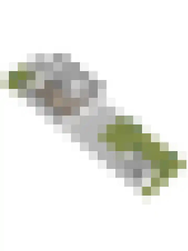 M.D.de Grootstraat 36 Goes thumbnail 25