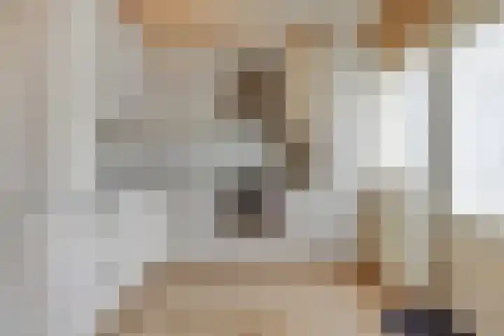 M.D.de Grootstraat 36 Goes thumbnail 4