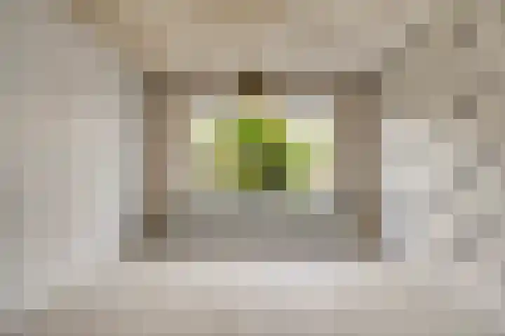 M.D.de Grootstraat 64 Goes thumbnail 10