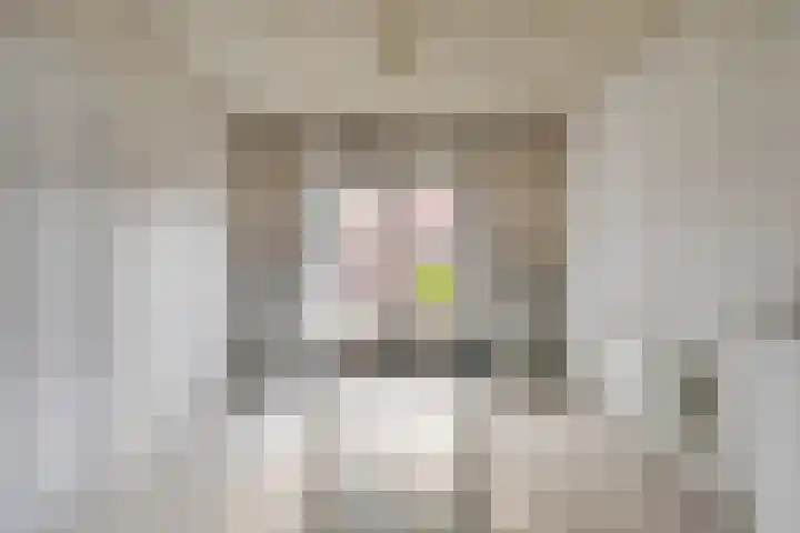 M.D.de Grootstraat 64 Goes thumbnail 11