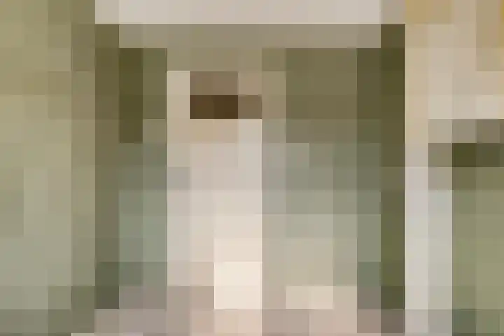 M.D.de Grootstraat 64 Goes thumbnail 27