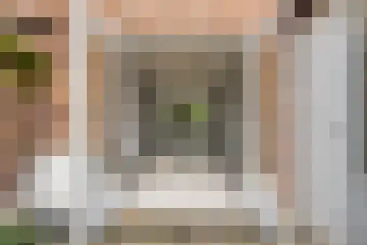 M.D.de Grootstraat 64 Goes thumbnail 28