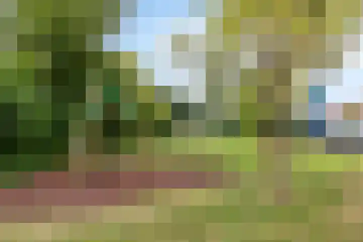 M.D.de Grootstraat 64 Goes thumbnail 38