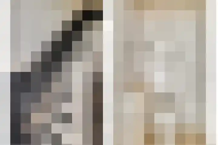 M.D.de Grootstraat 64 Goes thumbnail 8