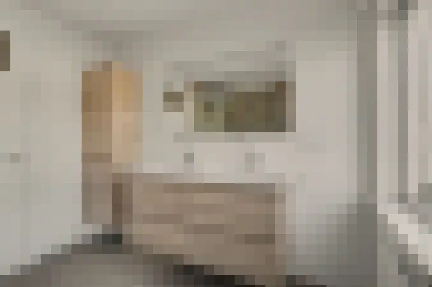 M.D.de Grootstraat 81 Goes thumbnail 20