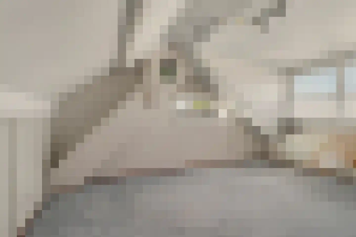 M.D.de Grootstraat 81 Goes thumbnail 23