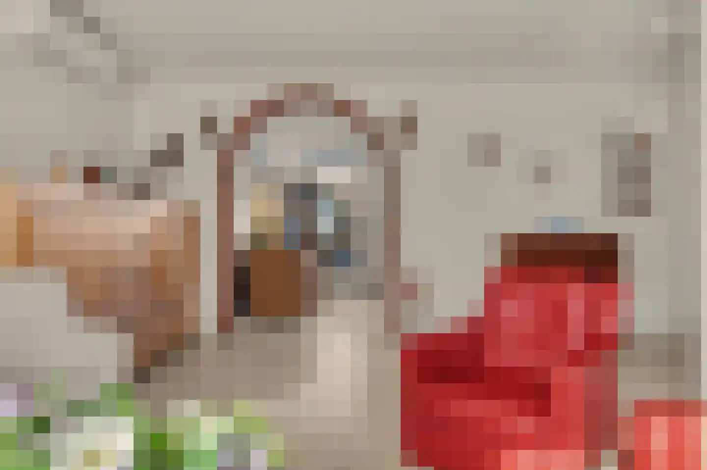 M.D.de Grootstraat 81 Goes thumbnail 5