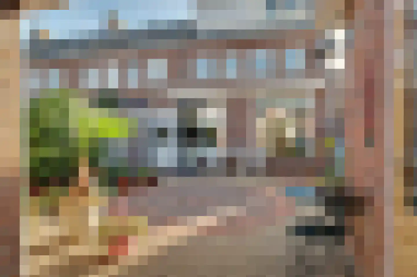 M.D.de Grootstraat 81 Goes thumbnail 6