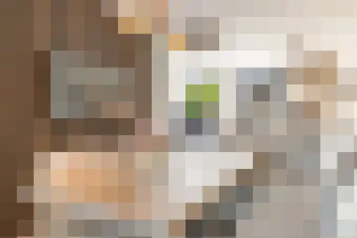 M. de Klerkstraat 11 Almere thumbnail 11