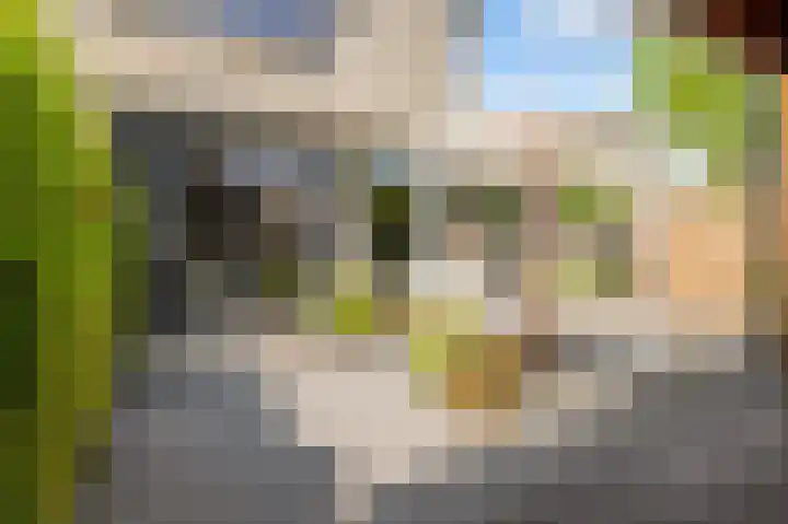 M. de Klerkstraat 11 Almere thumbnail 51