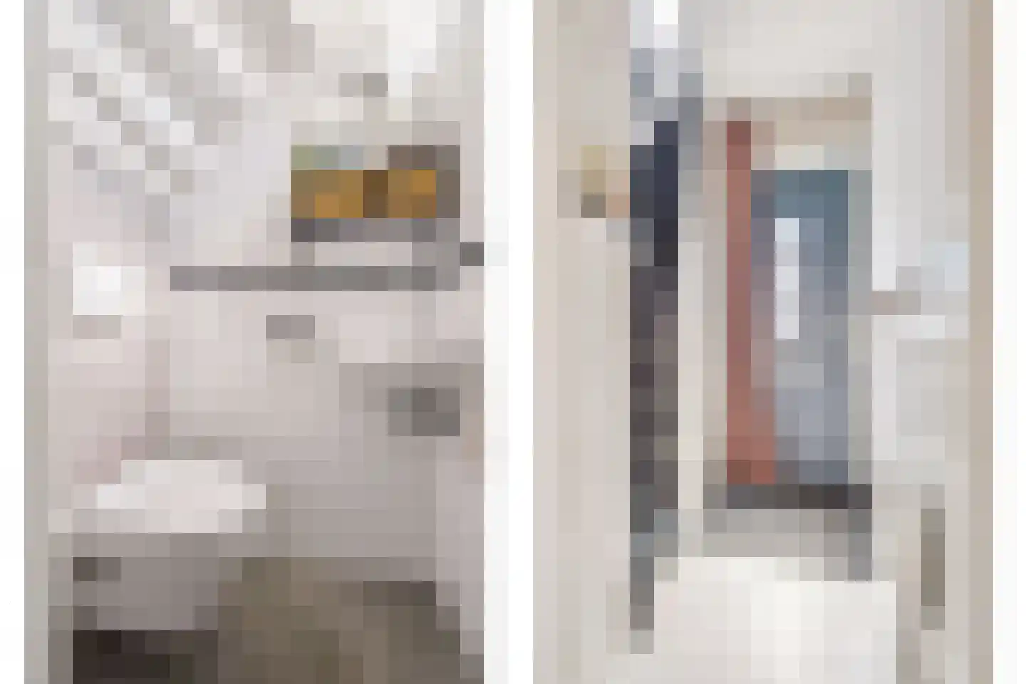 M. de Klerkstraat 15 Utrecht thumbnail 20