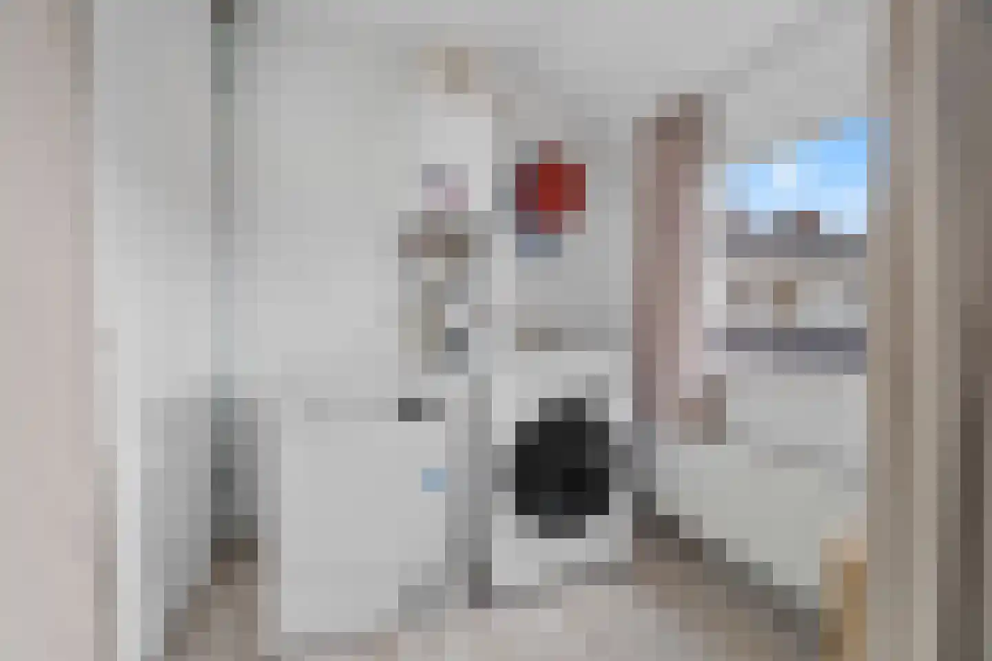 M. de Klerkstraat 2 A Utrecht thumbnail 28
