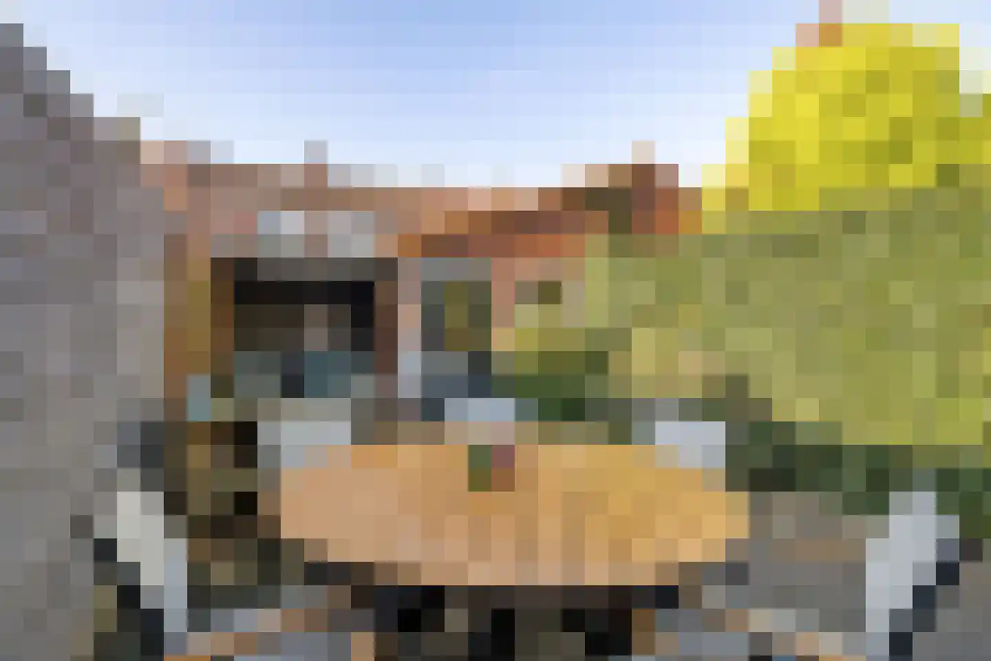 M. de Klerkstraat 24 Utrecht thumbnail 22