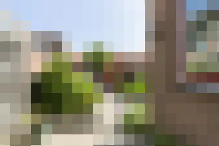 M. de Klerkstraat 43 Utrecht thumbnail 30