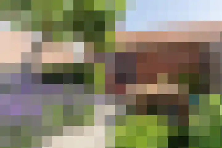 M. de Klerkstraat 43 Utrecht thumbnail 4