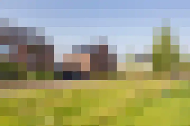 M. de Witstraat 21 Hengelo thumbnail 11