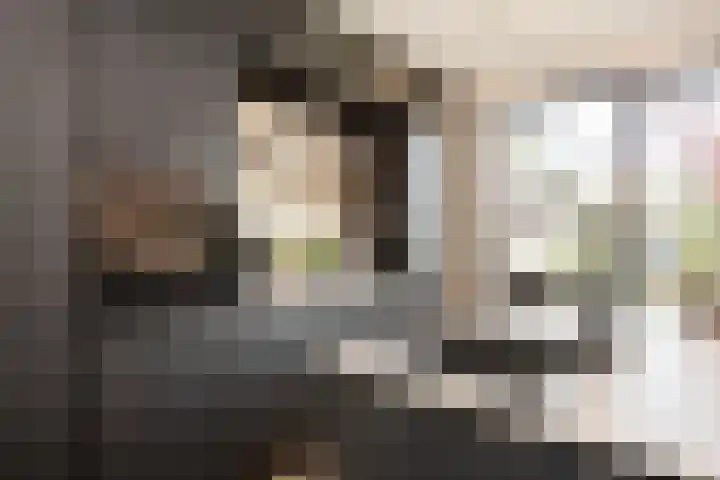 M. de Witstraat 21 Hengelo thumbnail 24